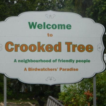 Becks Bed & Breakfast Crooked Tree Dış mekan fotoğraf