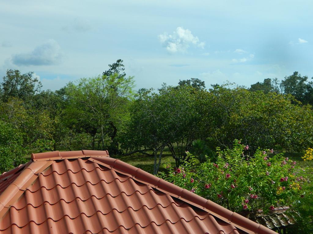 Becks Bed & Breakfast Crooked Tree Dış mekan fotoğraf